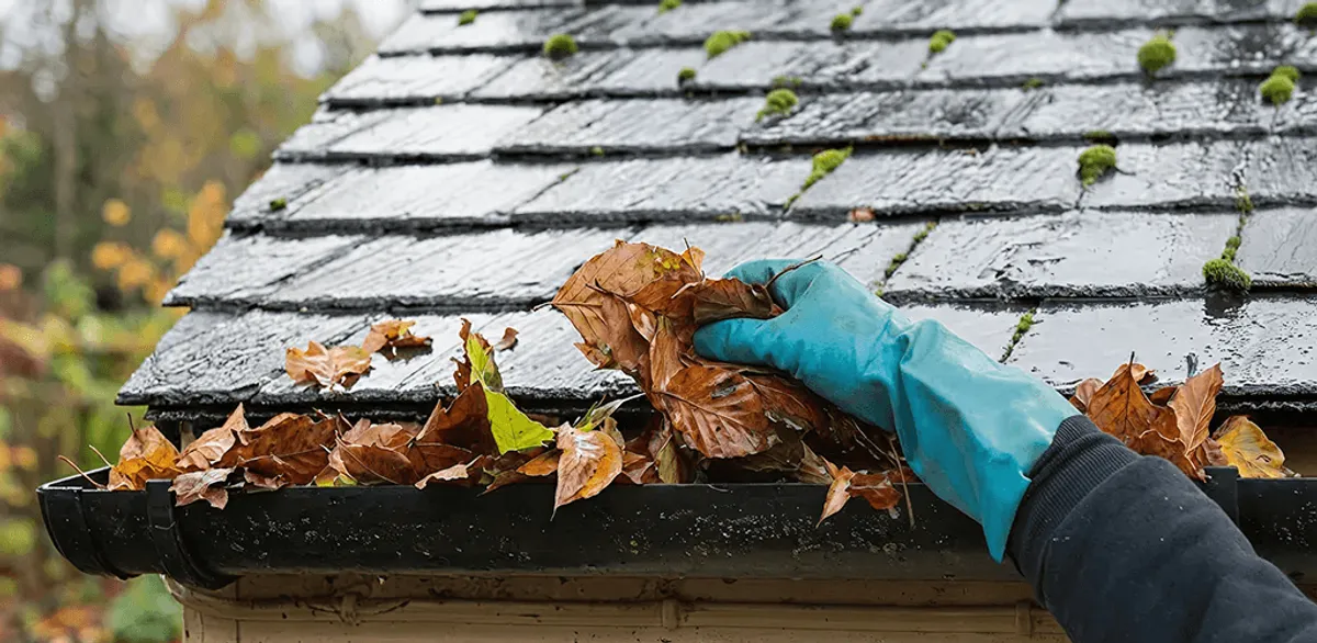 Gutter cleaning technician clearing wet leaves from roof gutters in Aurora, IL